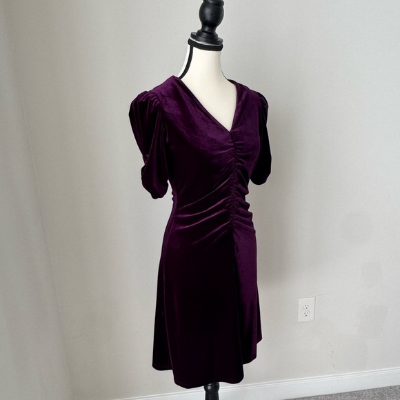 Elegant Purple Velvet Dress - Picture 2 of 5